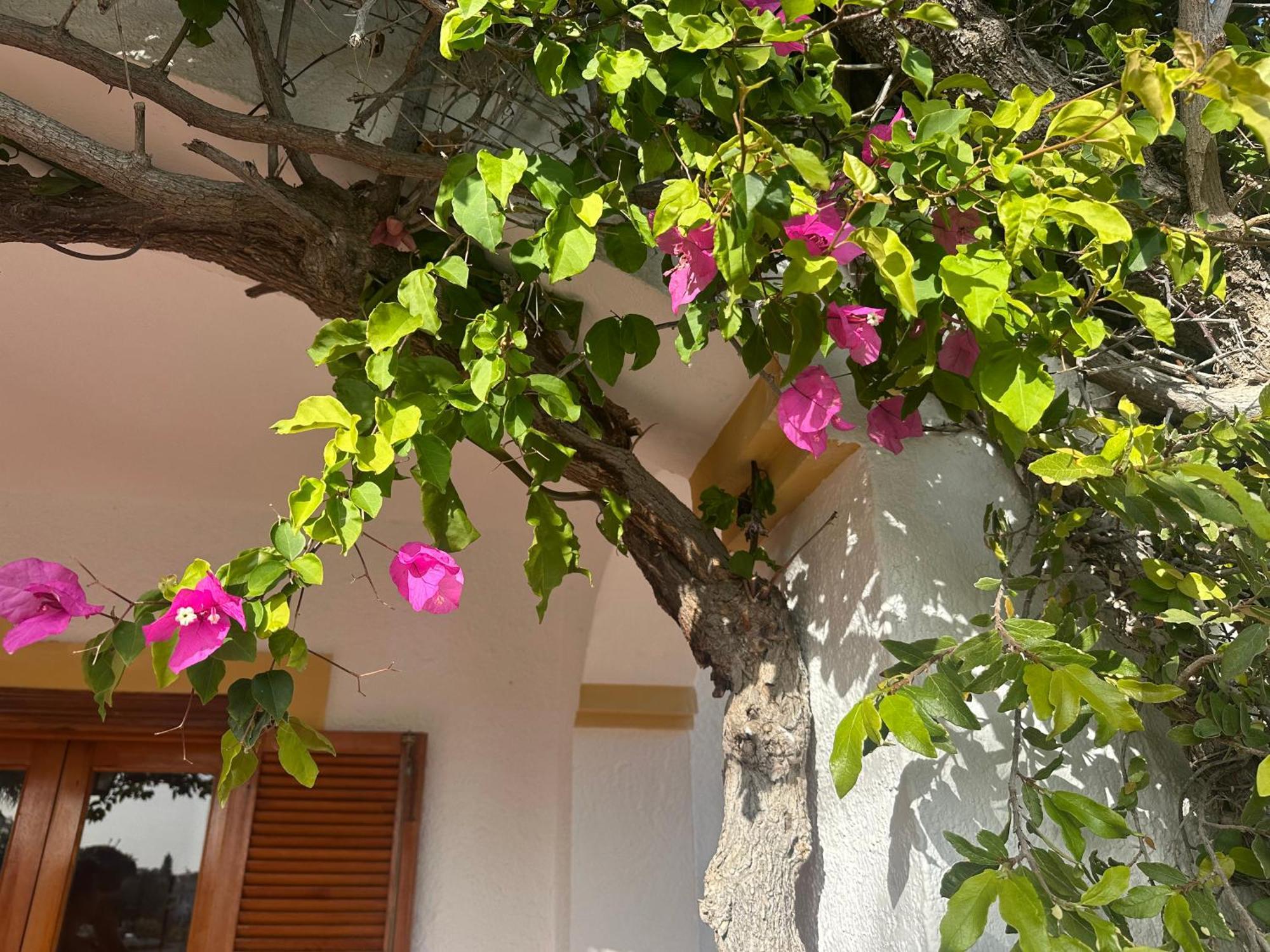 Casa Hermosa Mijas Exterior photo